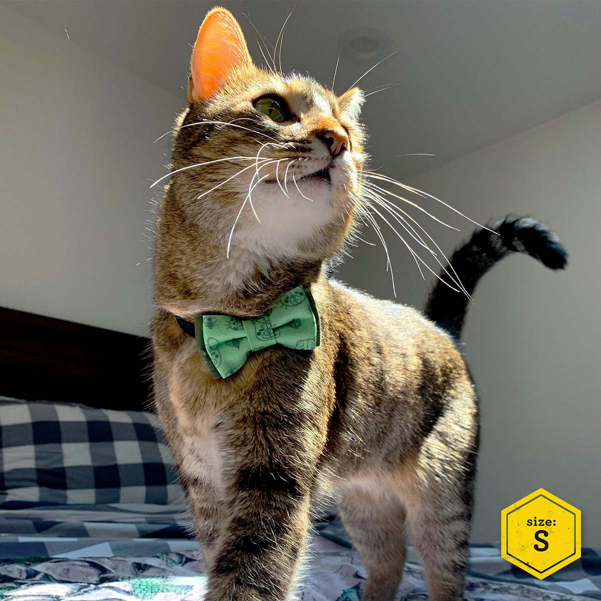 Critical Role Pet Bow Tie Set 2-Pack M