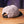 Tal'Dorei Republic Cap